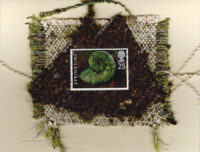 Green Seashell (Great Britain) Card