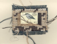 Green Heron (Maldives) Card