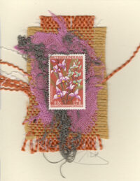 Purple & Green Orchids (British Honduras) Card