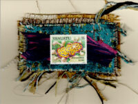 Dorid nudibranch, a marine gastropod Mollusc (Vanuatu) Seashell Card