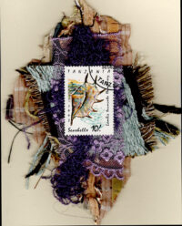 Multicolor Spiny Seashell (Tanzania) Card