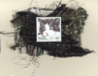 Tuxedo Cat with Green Eyes (Malta) Card