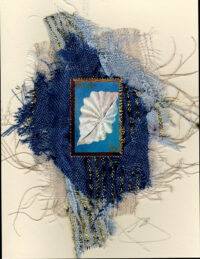 White Seashell (Palau) Card