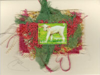 Lamb (New Zealand) Card