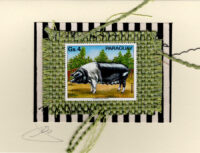 Pig (Panama) Card