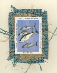 Blackfin Tuna (Non-Stamp) Card