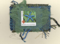 Blue Star Fish (Micronesia) Card