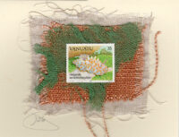 Dorid nudibranch, a marine gastropod Mollusc (Vanuatu) Seashell Card