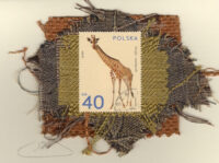 Giraffe (Poland) Card