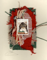 Cute Cat (Australia) Card
