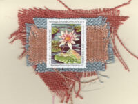 Pink Lotus with Green Lily Pad (Laos) Card