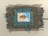 Sea Turtle (Greece) Card