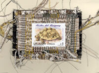 Testudinites Sellowi Tortoise (Uruguay) Card