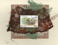 Tree Frog (Fiji) Card
