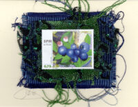 Blueberries (St. Pierre) Card