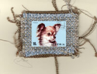 Chihuahua (Liberia) Dog Card