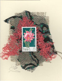 Fuchsia Cactus (DDR/Germany) Card