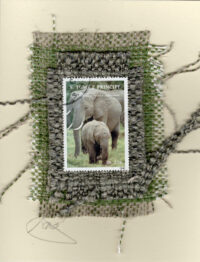 Grey Elephants (Tome e Principe) Card