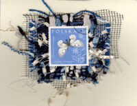 White Butterfly with Blue (Poland) Card