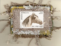 Arabian Horse (Romania) Card