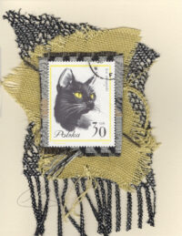 Black Cat with Yellow Eyes (Poland) Card