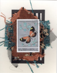 Orange Butterfly with Blue Flowers (Oman) Card