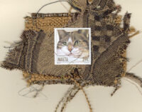 HM-Brown & White Cat with Green Eyes (Malta) Card