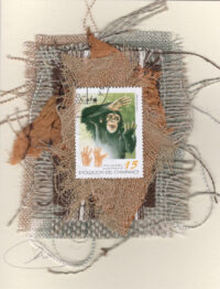 Chimpanzee (Cuba) Card