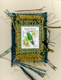 Emerald Hummingbird (Bahamas) Card
