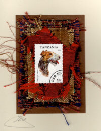 Fox Wire Terrier (Tanzania) Dog Card