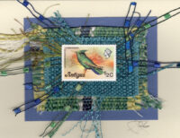 Antillean-Crest Hummingbird (Antigua) Card