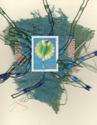 Yellow & Green Hummingbird (Brazil) Card