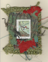 Hummingbird (Cuba) Card