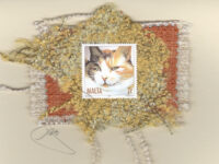 HM-Orange and Brown & White Cat (Malta) Card