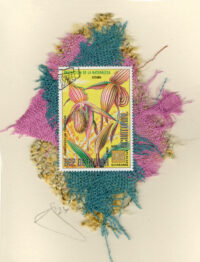 Striped Pink Orchid (Guinea Equatorial) Card