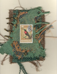 Scarlet-Crested Hummingbird (Botswana) Card