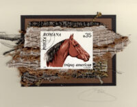 American Trapas Horse (Romania) Card