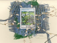 White Flowers (USSR) Card