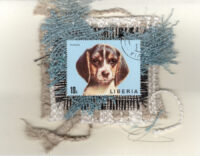 Beagle (Liberia) Dog Card
