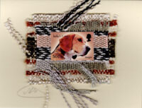 Beagle (Turks & Caicos) Dog Card