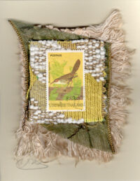 Brown Bird (Thailand) Card