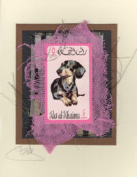 Dachsund (Ras Al Khaima) Dog Card