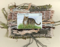Grey Cat (Finland) Card