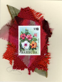 Colorful Hibiscus (Barbuda) Card