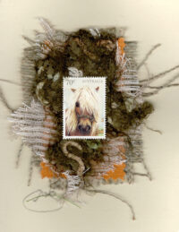 Portrait of a Horse (Australia) Card