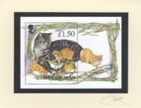 Mama Cat and her (5) Kittens (Isle of Man) Souvenir Sheet Card