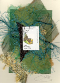 Parakeet (Malagasy) Bird Card