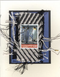 Penguins (Cambodia) Card