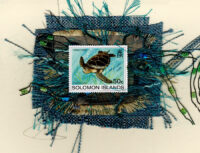 Green Sea Turtle (Solomon Islands) Card