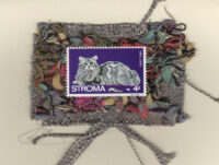 Grey Tabby (Stroma) Cat Card